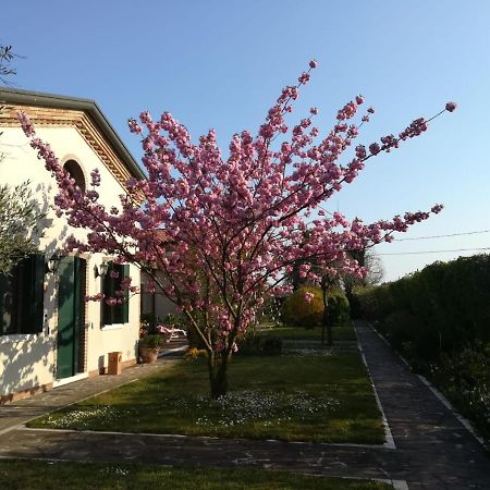 Hotel Casa Pianta à Cavallino-Treporti Extérieur photo