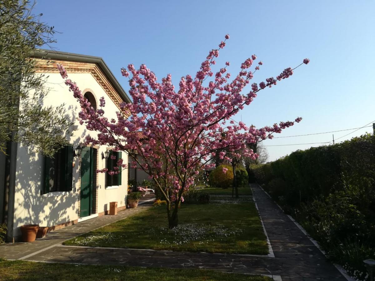 Hotel Casa Pianta à Cavallino-Treporti Extérieur photo