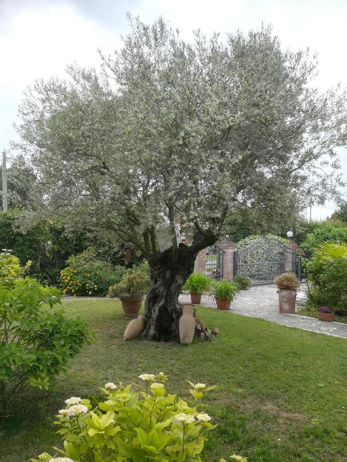Hotel Casa Pianta à Cavallino-Treporti Extérieur photo